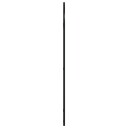 vidaXL Veggspeil svart 50x100 cm buet jern