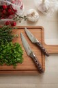 Eva Solo   Nordic Kitchen grønnsakskniv 13 cm pakkawood