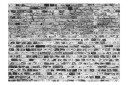 Fototapet Border Of Greynesses 100x70 - Finnes i flere størrelser