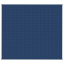 Vidaxl Vektdyne blå 200x230 cm 13 kg stoff