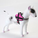 K9 populær ett-klikk  hundesele
