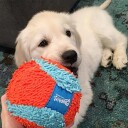 Chuckit Chuckit! Indoor Ball Plysj