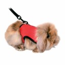 Kattinorge Marsvin-kanin-Smådyr-Kattesele soft med line 25-40cm