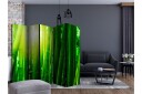 Romdeler Sun and Bamboo II - Artgeist sp. z o. o.