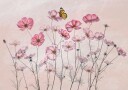 Pink Cosmos Butterfly Plakat / 50x70
