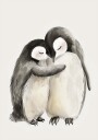 Hugging Baby Penguins Plakat Plakat / 50x70cm