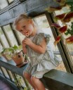 Fliink Harper Shorts Green 80