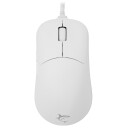 Pelė White Shark Baltas Shark Baltas Shark Gm-5014 Graphene Baltas
