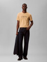Calvin Klein Ss 20S Ln Calvin Graphic Tee   Beige   S