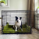Hundemadrass Og Burmadrass Mange Str.