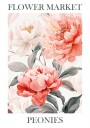 Peonies Pink Plakat Plakat / 100x150cm