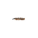 Meinl FR1P Foot Rattle Pangi