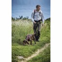 Kennel Equip Jogging Gear Trekkbelte, 30kg