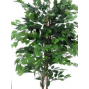 Europalms Ficus Tree Multi-Trunk, 210cm