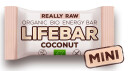 AbsorBurn Lifebar Mini Coconut Raw Ø 25g