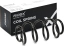 RIDEX 188C1291 Fjær