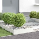 vidaXL Gjerdekant 6 pcs Hvit 60 x 60 x 13 cm Stål