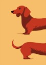 Dachshund Plakat Plakat / 100x150cm