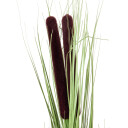 Europalms Reed Grass W/ Cattails Light Green,152cm