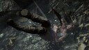 Tomb Raider  (Xbox 360)