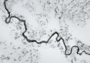 Winter Wonderland 2 Plakat Plakat / 100x150cm