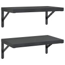 Vegghyller 2 stk 50x30 cm svart rustfritt stål