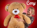 Gigantisk bamse Cozy