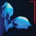 Bambara  Birthmarks  LP/Vinyl