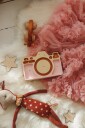Little Lights Mini Lampe Kamera Pastellrosa