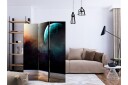 Romdeler Like Being on Another Planet - Artgeist sp. z o. o.