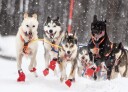Non-Stop Dogwear Langdistansestøvel Potesokker 4stk XS Blå