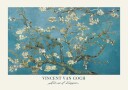Vincent van Gogh   Almond Blossom Plakat Plakat / 100x150cm
