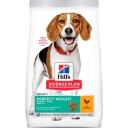 Hill´S Dog Ad Per Weig Med Chi 12Kg
