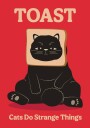 Toast Cat Plakat Plakat / 21x30cm