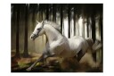 Fototapet White Chase 250x193 - Artgeist sp. z o. o.