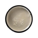 Arcadian Clay Pomade TRAVEL