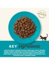Applaws Ocean Fish With Salmon Kibble 1.8Kg
