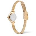 Daniel Wellington DW Watch Petite Mini Evergold 19mm Gold