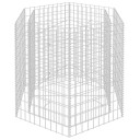 vidaXL Gabion høybed sekskantet 100x90x100 cm