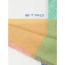 Etro Dame Accessories Flerfarget ONE SIZE,