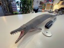 Collecta Basilosaurus