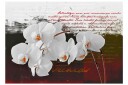 Fototapet Diary And Orchid 300x210 - Artgeist sp. z o. o.