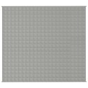 Vidaxl Vektdyne grå 200x225 cm 9 kg stoff