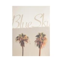 Blue Sky Inn Herre Gensere & Hettegensere Beige XL,