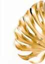 Gold Monstera Leaf Plakat Plakat / 100x150cm