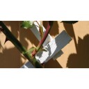 Nelson Garden 5191 Treespalier hvit, 50 x 140 cm, Avling