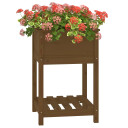 vidaXL Plantekasse med hylle honningbrun 54x54x81 cm heltre furu