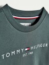 Tommy Hilfiger Essential Sweatshirt Green Slate (152 / 12 år)