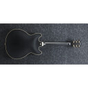 Ibanez As73g-Bkf Svart Flat