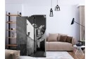 Kadira Rumsavdelare 135x172 cm VALUE_MISSING_1 -